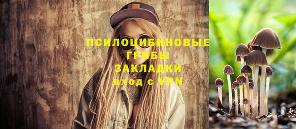 прущие грибы Абаза